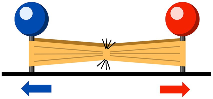www.frontiersin.org