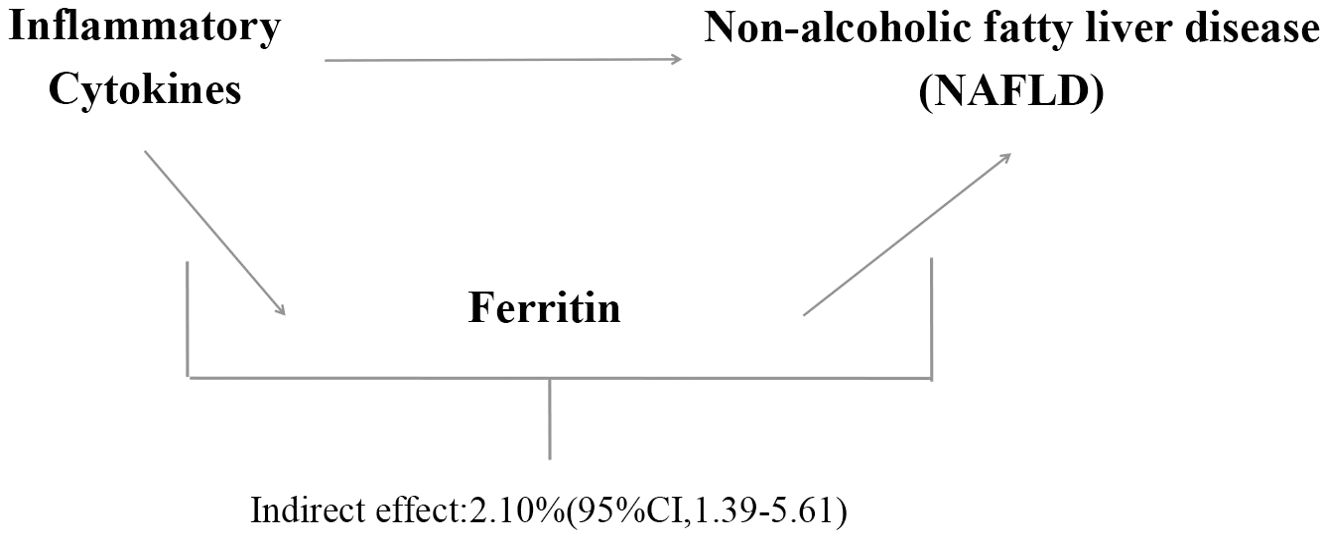 www.frontiersin.org