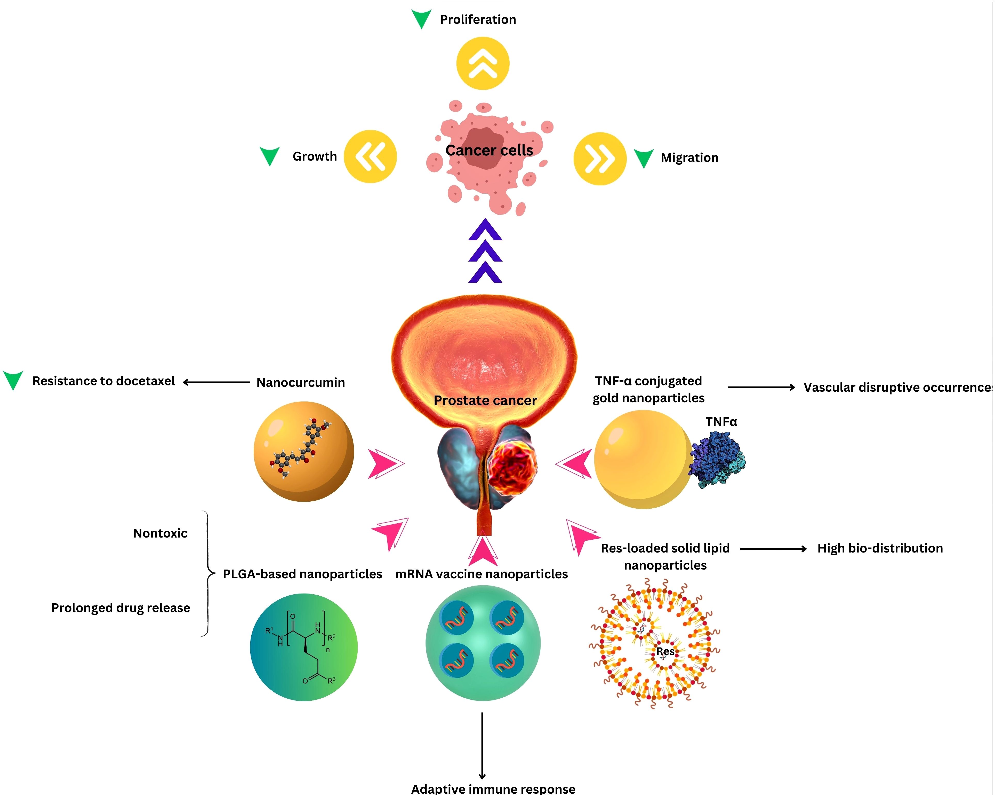 Beyond Antibiotics: New Urological Approaches To Bv - 1zvvukg