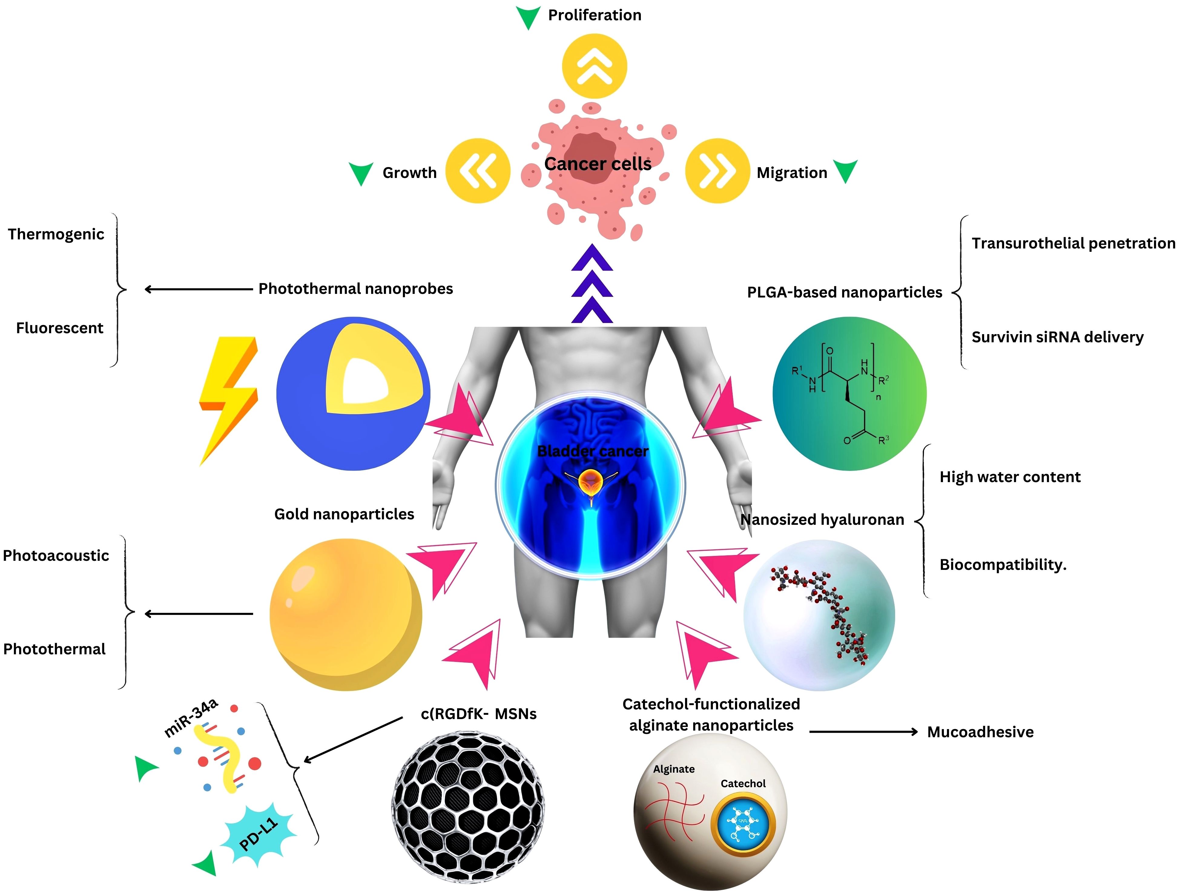 Beyond Antibiotics: New Urological Approaches To Bv - 05euxo2