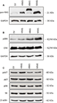 www.frontiersin.org