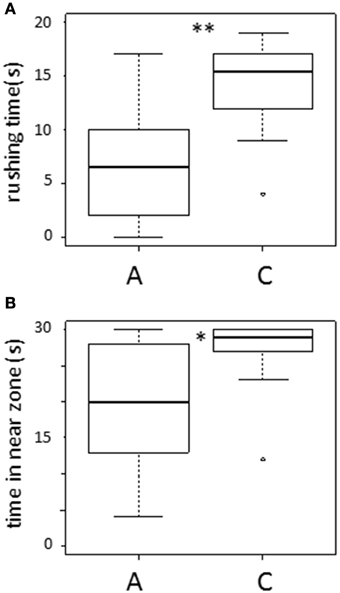 Transitive inference clearance piaget examples