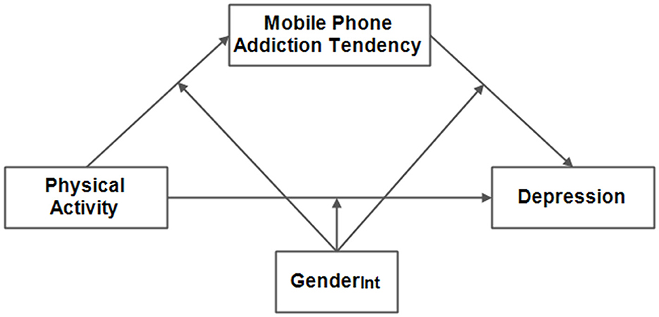 Flowchart illustrating relationships among four variables: Mobile Phone Addiction Tendency, Physical Activity, Depression, and Gender Interaction (GenderInt). Arrows indicate interactions and influences, with Mobile Phone Addiction Tendency being central, influenced by Physical Activity and GenderInt, and influencing Depression.