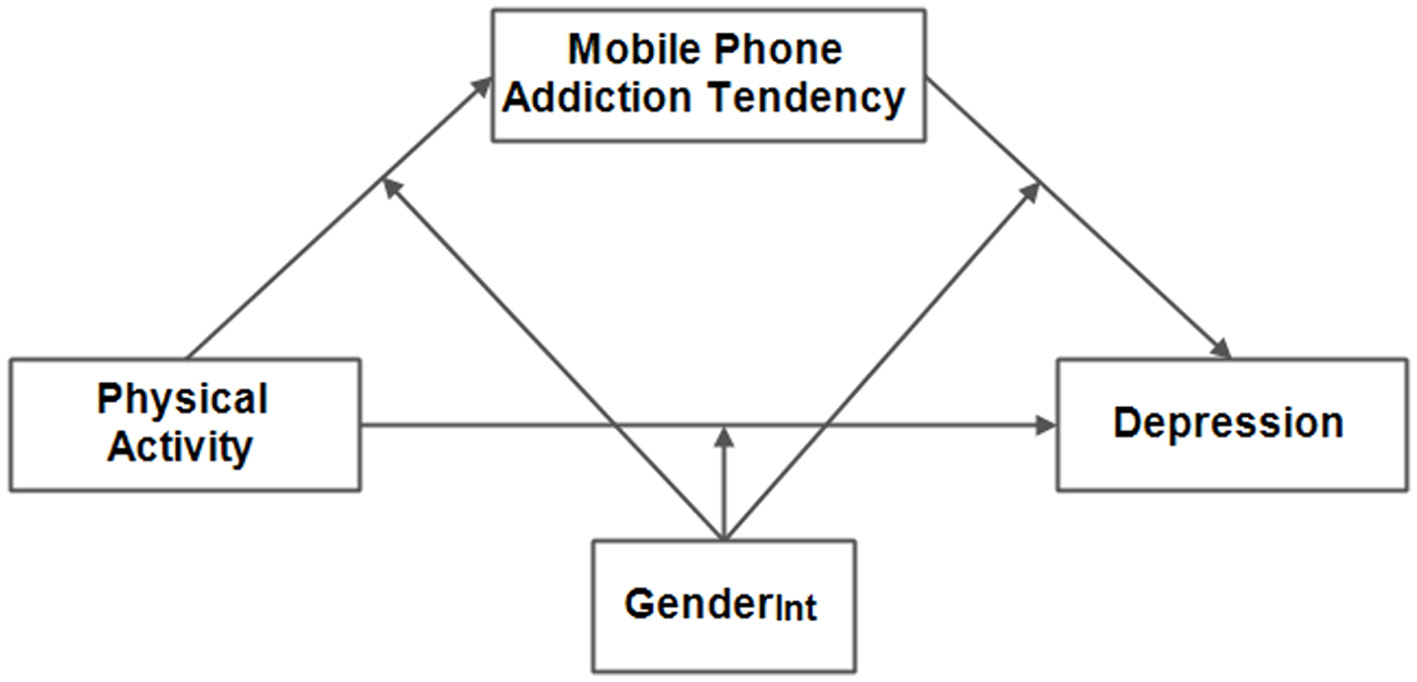 Flowchart illustrating relationships among four variables: Mobile Phone Addiction Tendency, Physical Activity, Depression, and Gender Interaction (GenderInt). Arrows indicate interactions and influences, with Mobile Phone Addiction Tendency being central, influenced by Physical Activity and GenderInt, and influencing Depression.