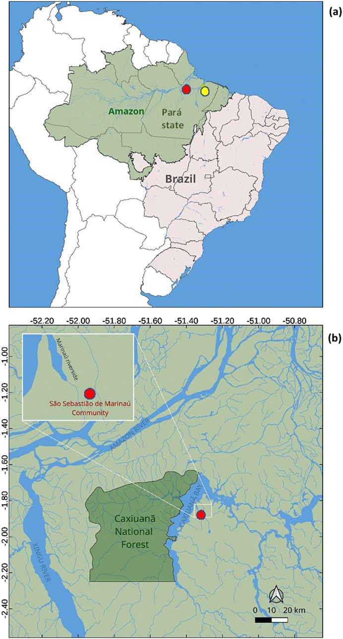 www.frontiersin.org