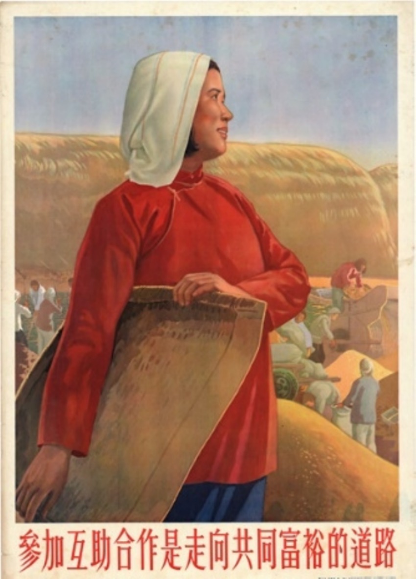 www.frontiersin.org