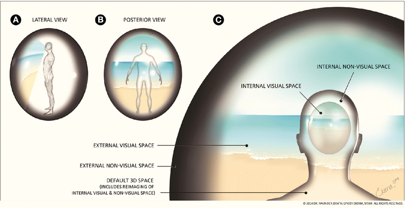 Simplified view of Damasio's model of consciousness: The protoself