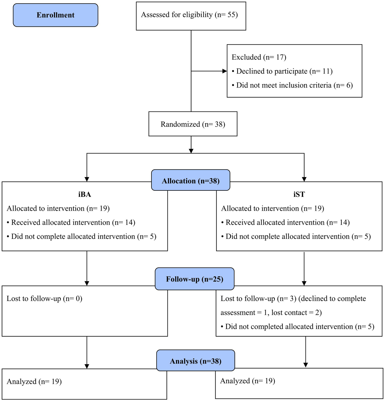 Flowchart depicting a participant allocation process in a study. Fifty-five individuals were assessed for eligibility, with seventeen excluded due to declining participation or not meeting inclusion criteria. Thirty-eight were randomized into two groups: iBA and iST, with nineteen in each. In both groups, fourteen received the allocated intervention and five did not complete it. In iBA, all participants completed follow-up; in iST, three were lost to follow-up. Nineteen participants in each group were analyzed.
