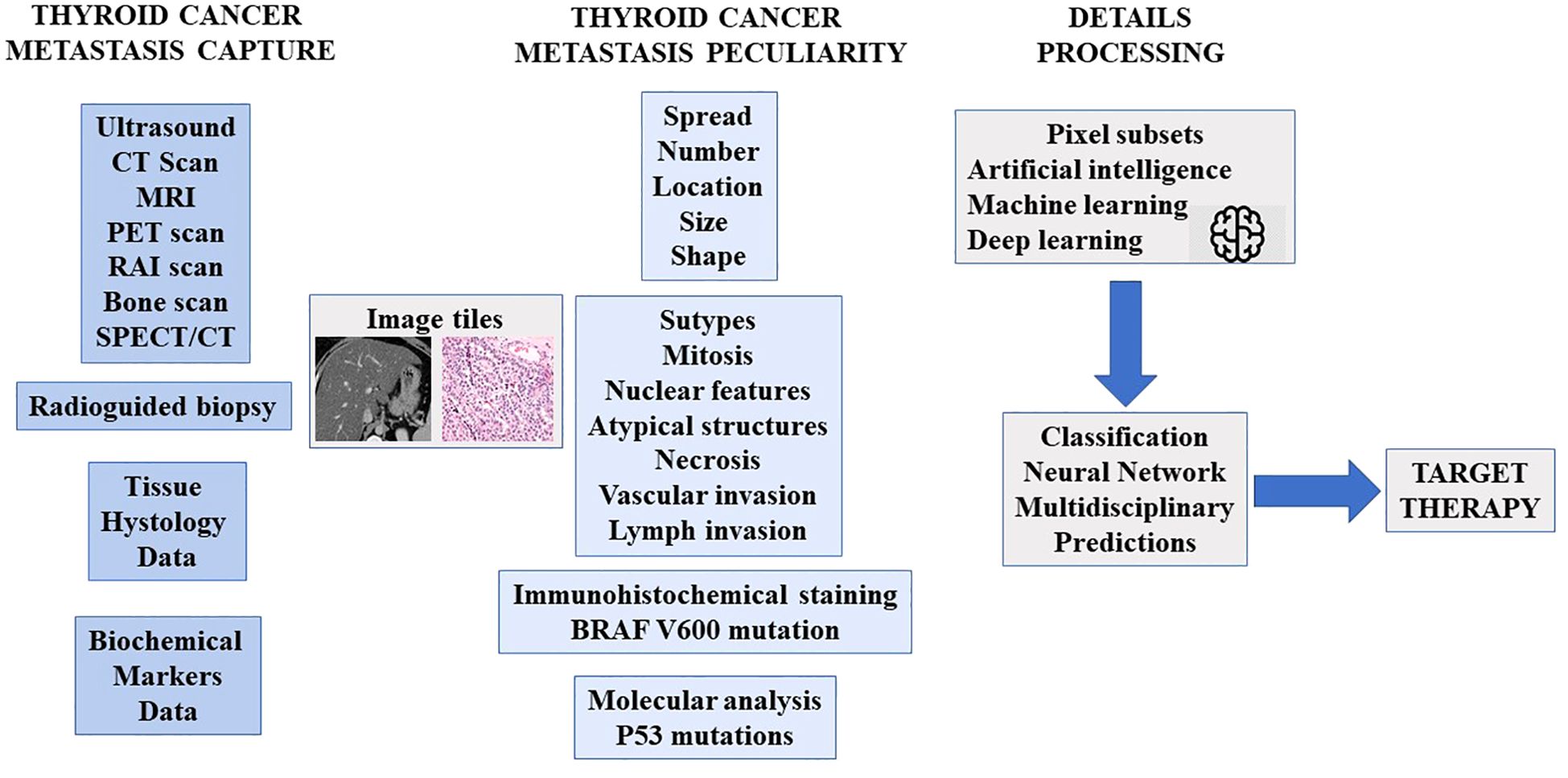 Flowchart illustrating the process of capturing thyroid cancer metastasis, detailing peculiarities, and processing. Left section lists diagnostic methods such as ultrasound, CT scan, MRI, and others. Middle section outlines peculiarity factors like spread, size, and atypical structures. Right section describes processing through AI, machine learning, and neural network classification, leading to targeted therapy. Key elements involve biopsy, histology, immunohistochemical staining, molecular analysis, and prediction utilizing a multidisciplinary approach.