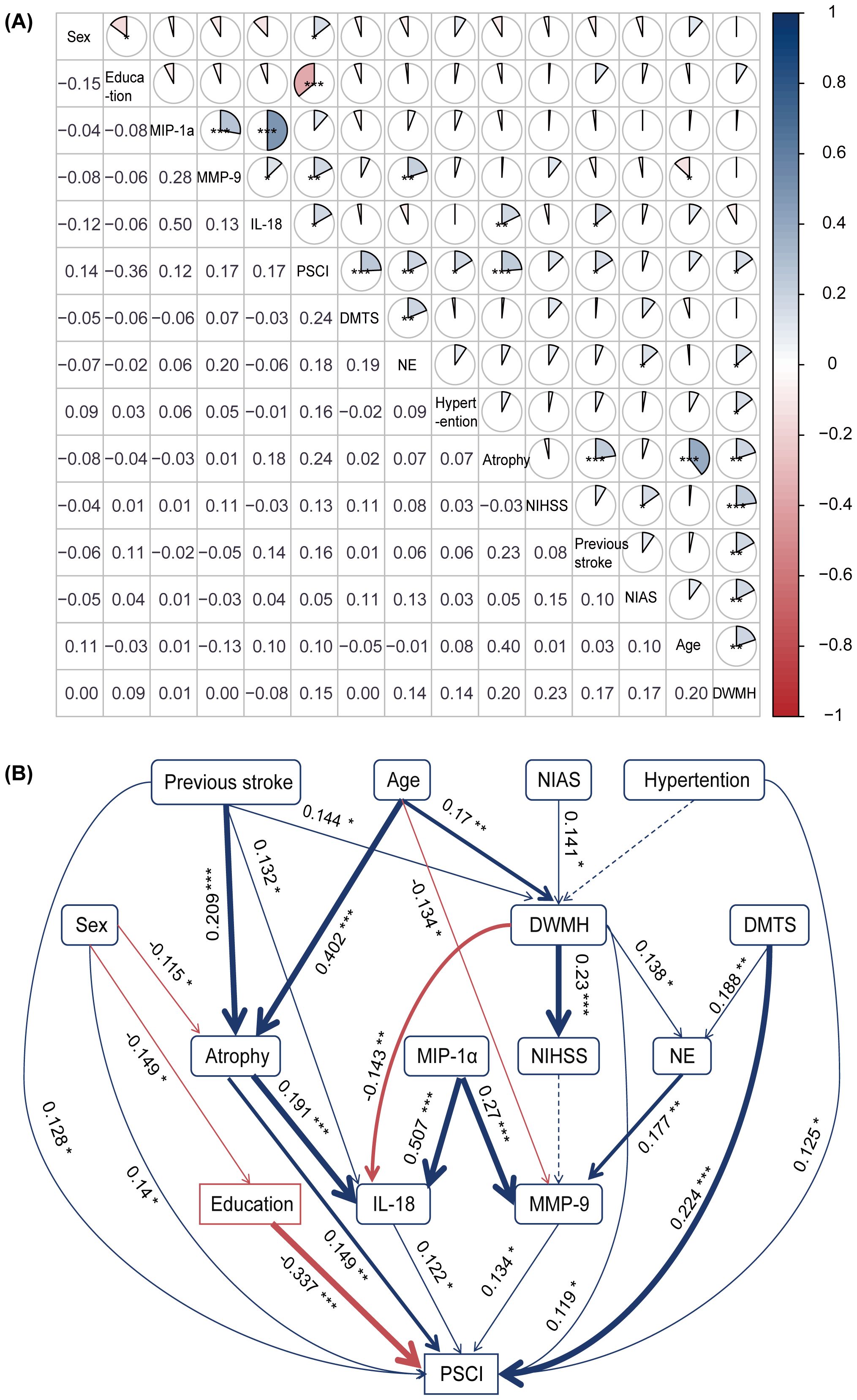 (A) A correlation matrix with pie charts showing relationships between various factors, such as sex, education, and medical measurements. Color scale ranges from red (negative) to blue (positive). Significant correlations are highlighted with asterisks. (B) A path diagram illustrating influences between factors like sex, age, education, and health variables. Arrows represent direction and strength of relationships with values marked, indicating statistical significance.