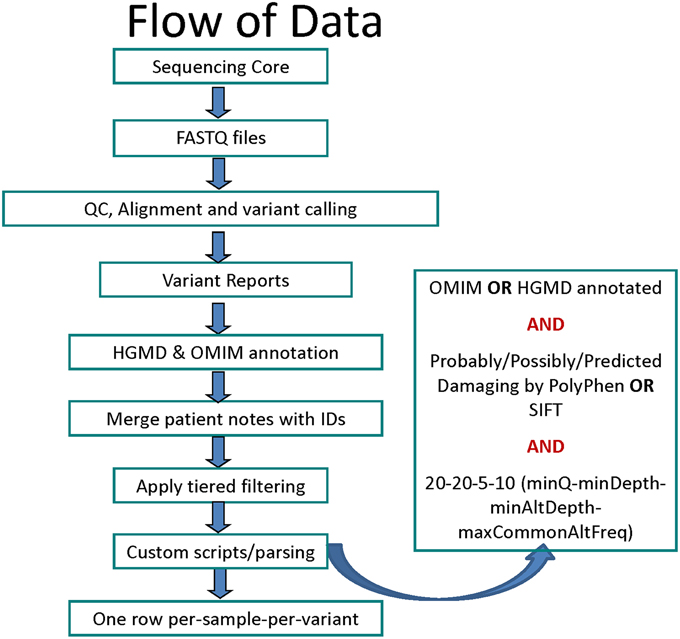 Dna Sequencing Flow Chart