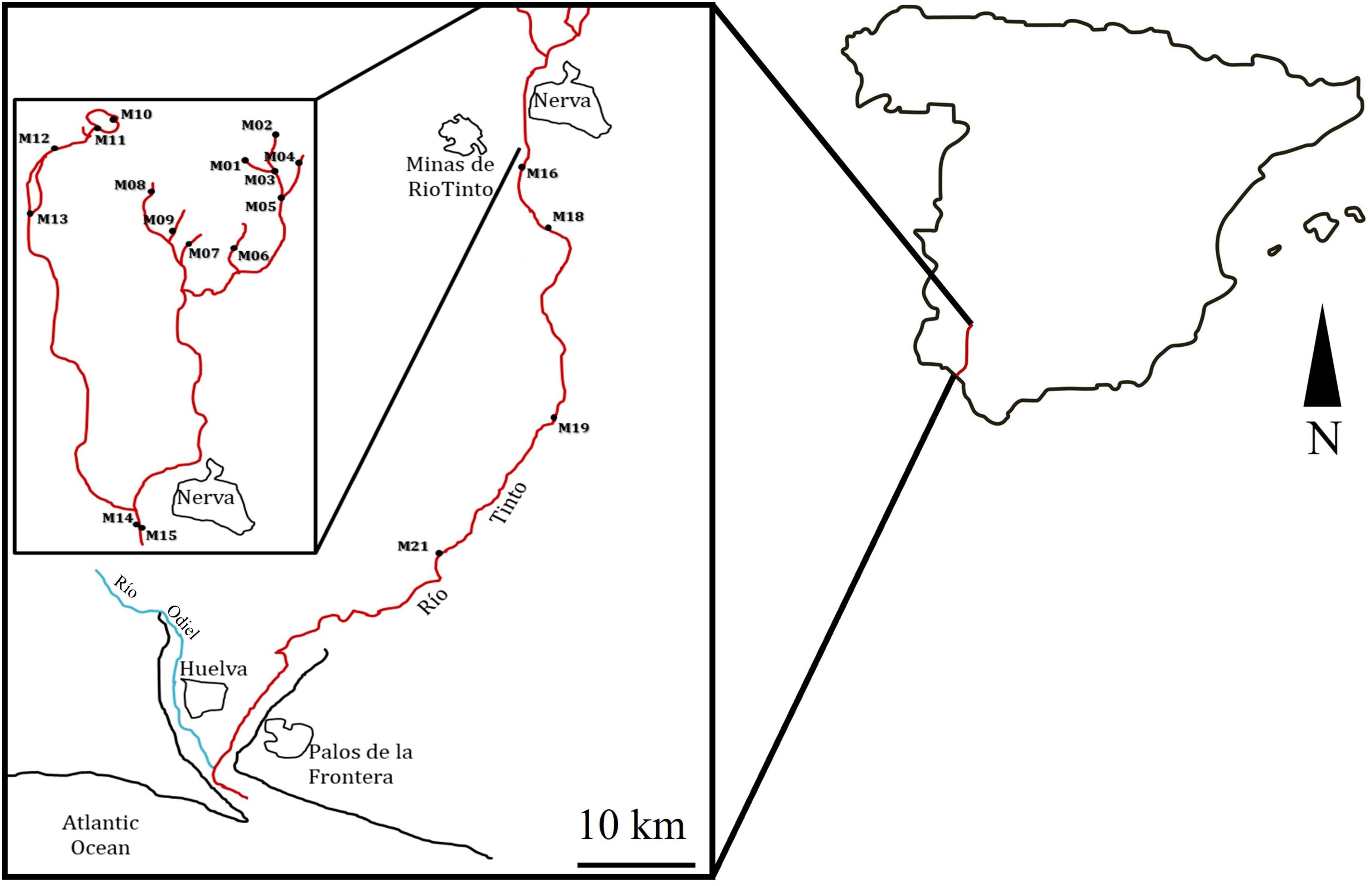 www.frontiersin.org