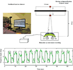 www.frontiersin.org
