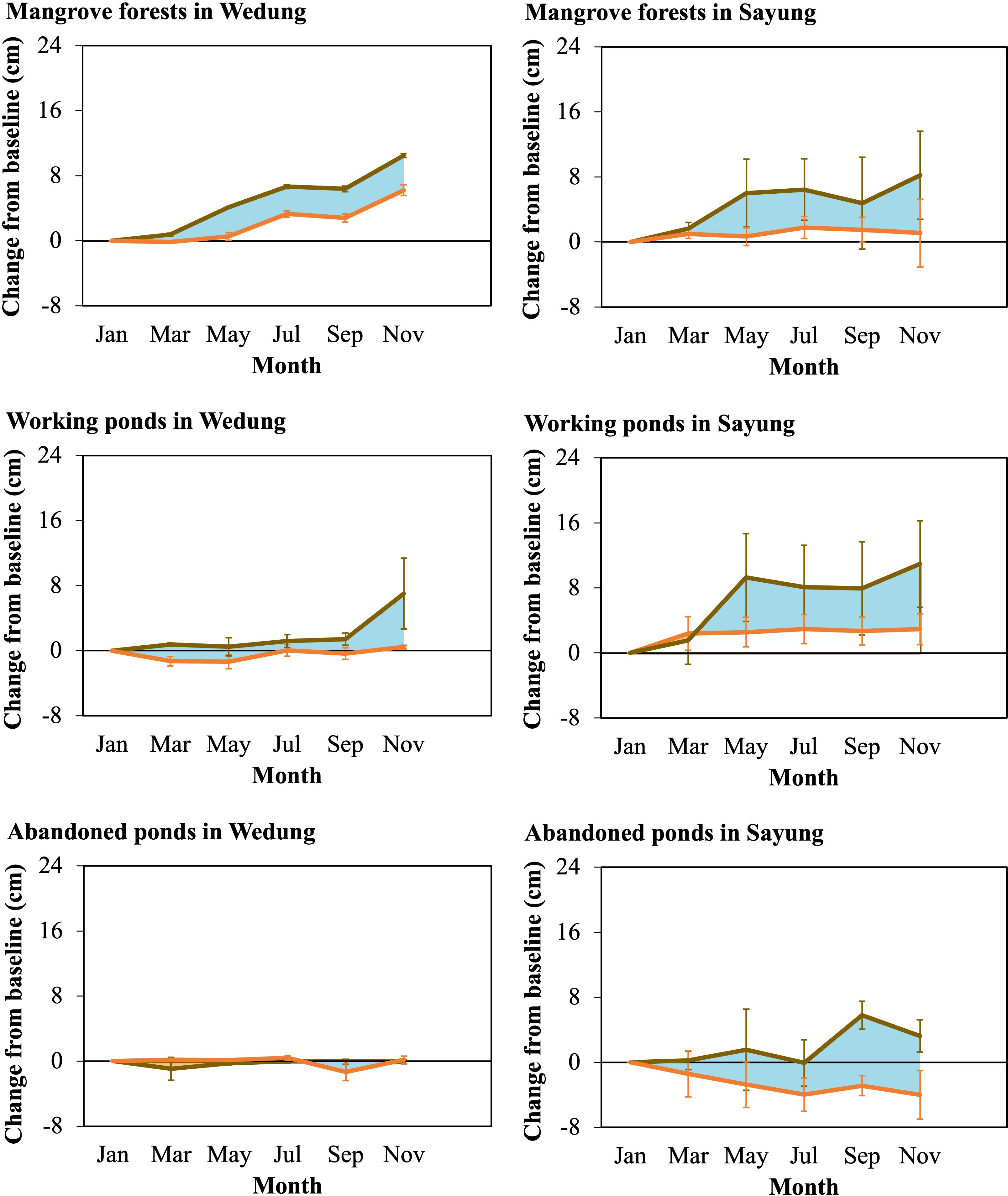 Six line graphs depict changes from baseline in centimeters over months for various land types in Wedung and Sayung. The top row shows mangroves, the middle row shows working ponds, and the bottom row shows abandoned ponds. The x-axis represents month from January to November, and the y-axis shows change from baseline, ranging from minus eight to twenty-four centimeters.