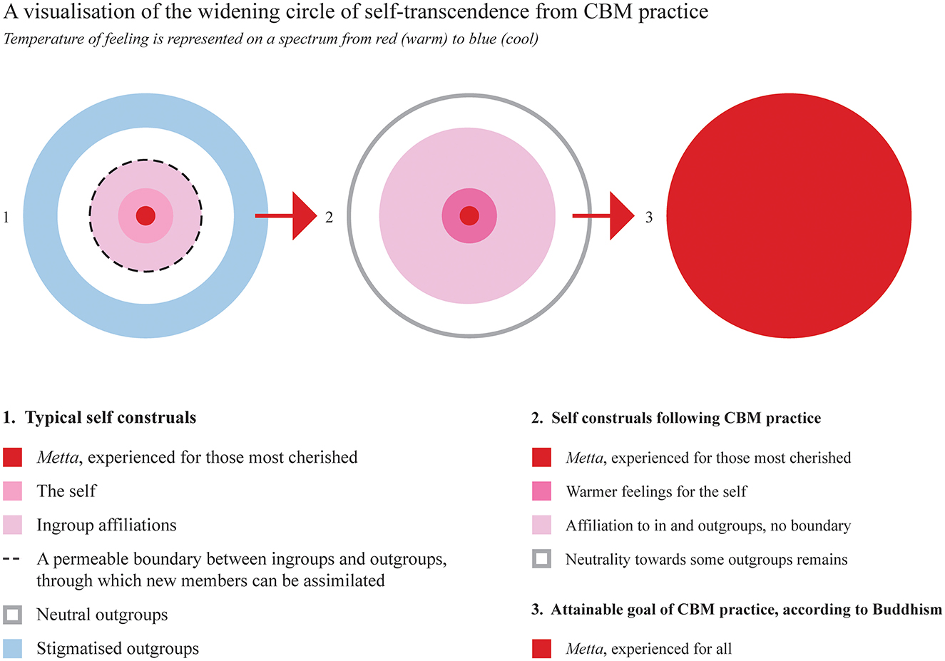 Graphic illustrating self-transcendence through CBM practice. Three circles represent stages: 1) Typical self with concentric zones from red to blue; 2) Self following CBM merging zones, warming; 3) Achievable CBM goal, solid red. Labels clarify colors: red for cherished connections, pink for self, and blue for outgroups. Arrows indicate progression.