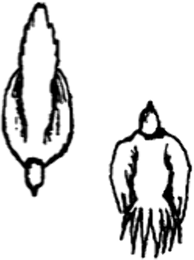 www.frontiersin.org