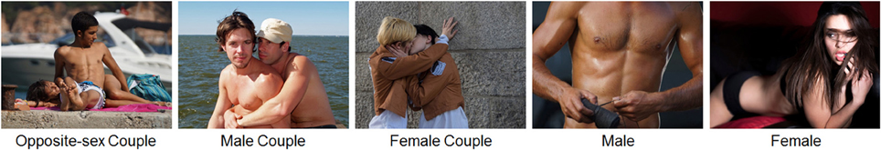 www.frontiersin.org