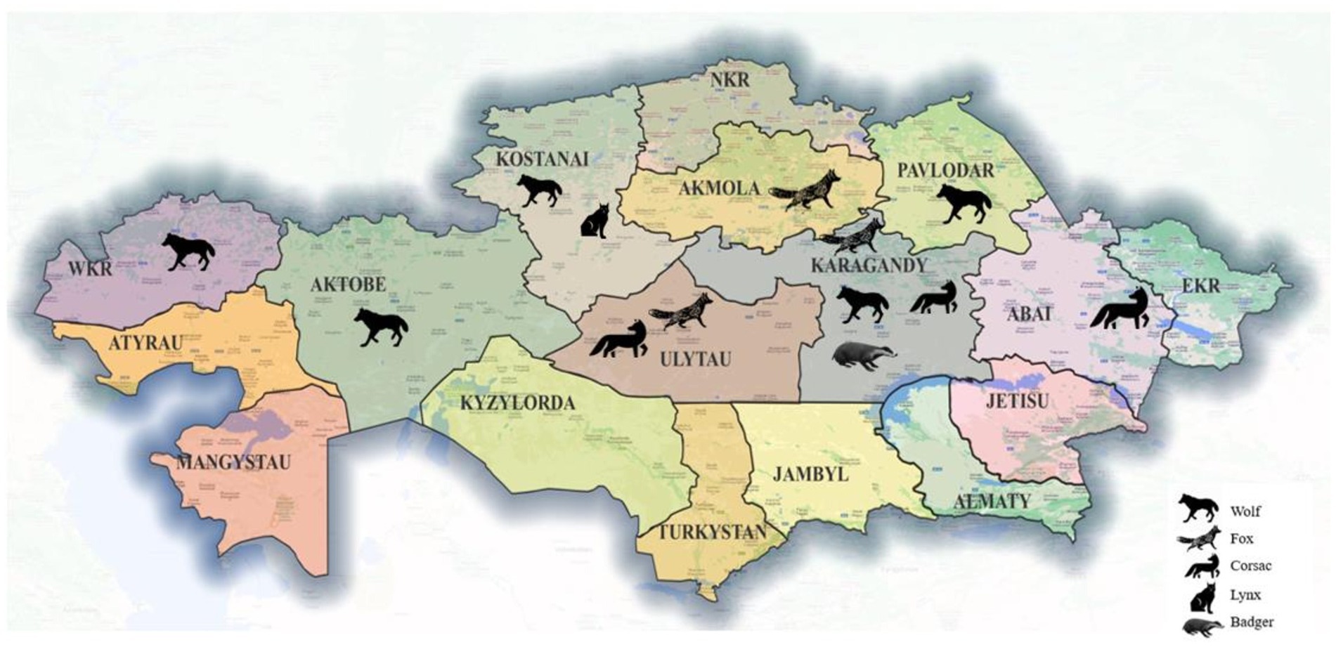 www.frontiersin.org