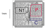 www.frontiersin.org
