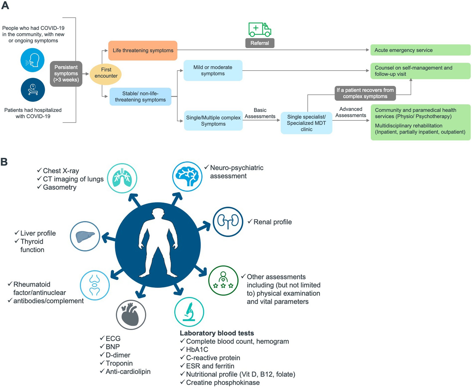 Flowchart A outlines a care pathway for COVID-19 patients with new or ongoing symptoms, detailing processes from initial encounter to possible referrals and rehabilitation. Diagram B surrounds a silhouette with assessment and testing categories for COVID-19 patients, including imaging, neuro-psychiatric, renal, liver, thyroid function tests, and comprehensive laboratory blood tests.