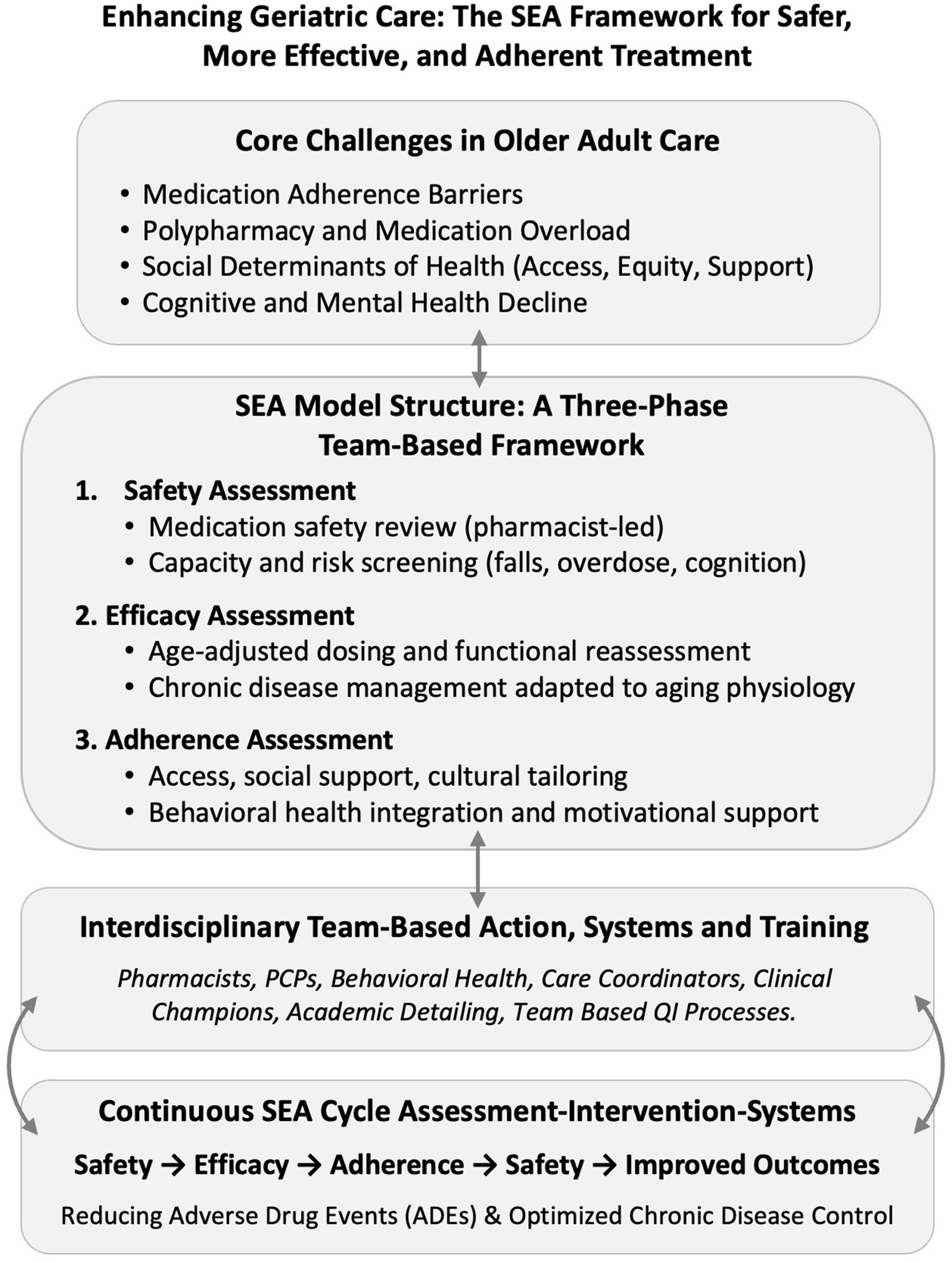 SEA Logic Model diagram comprises five sections. The left contains assumptions for various domains like population, clinical practice, and economic impact. The central section outlines inputs, such as human resources, tools, and infrastructure. It leads to the