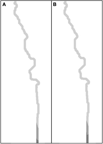 www.frontiersin.org