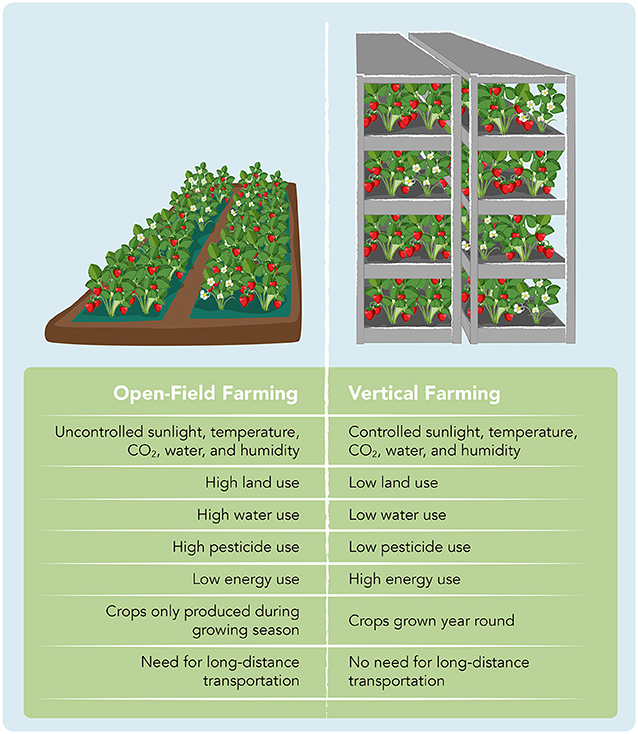 Figure 2 - Main differences between open-field farming and vertical farming [figure adapted from [2], Nature Food, with permission].