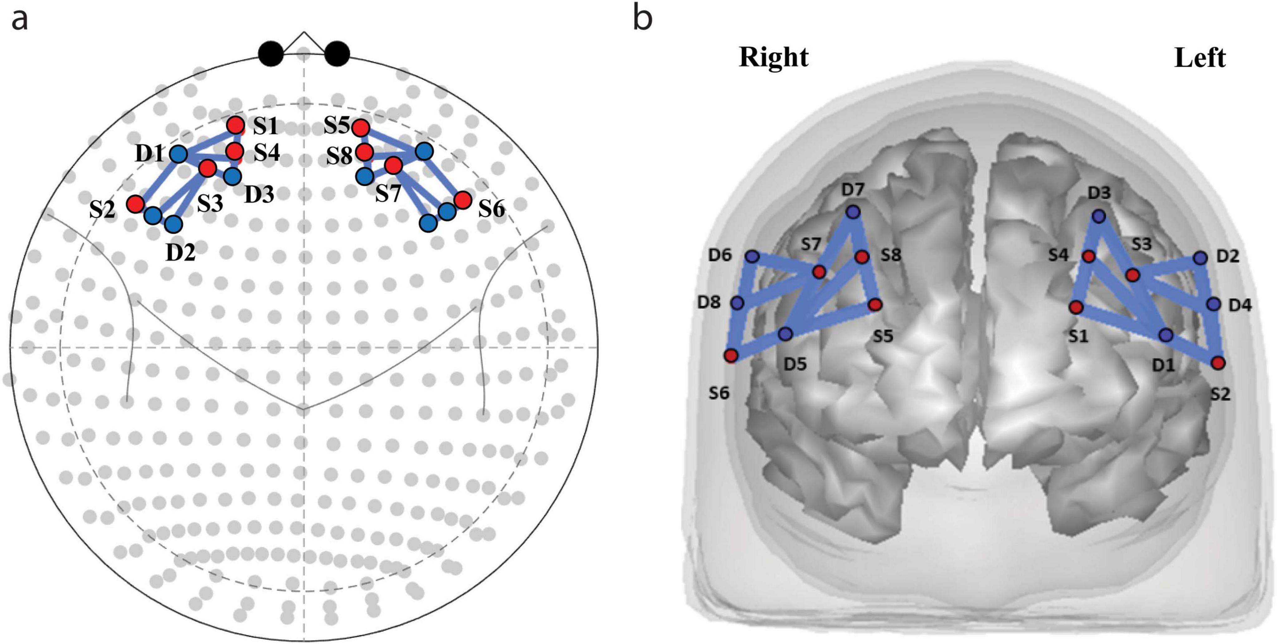 Diagram illustrating brain activity measurement. Panel (a) shows a top view of the scalp with sensors indicated as dots, connected by lines. Panel (b) displays a 3D brain model with highlighted regions connected by blue paths labeled D1 to D8 and S1 to S8, identifying areas of interest.