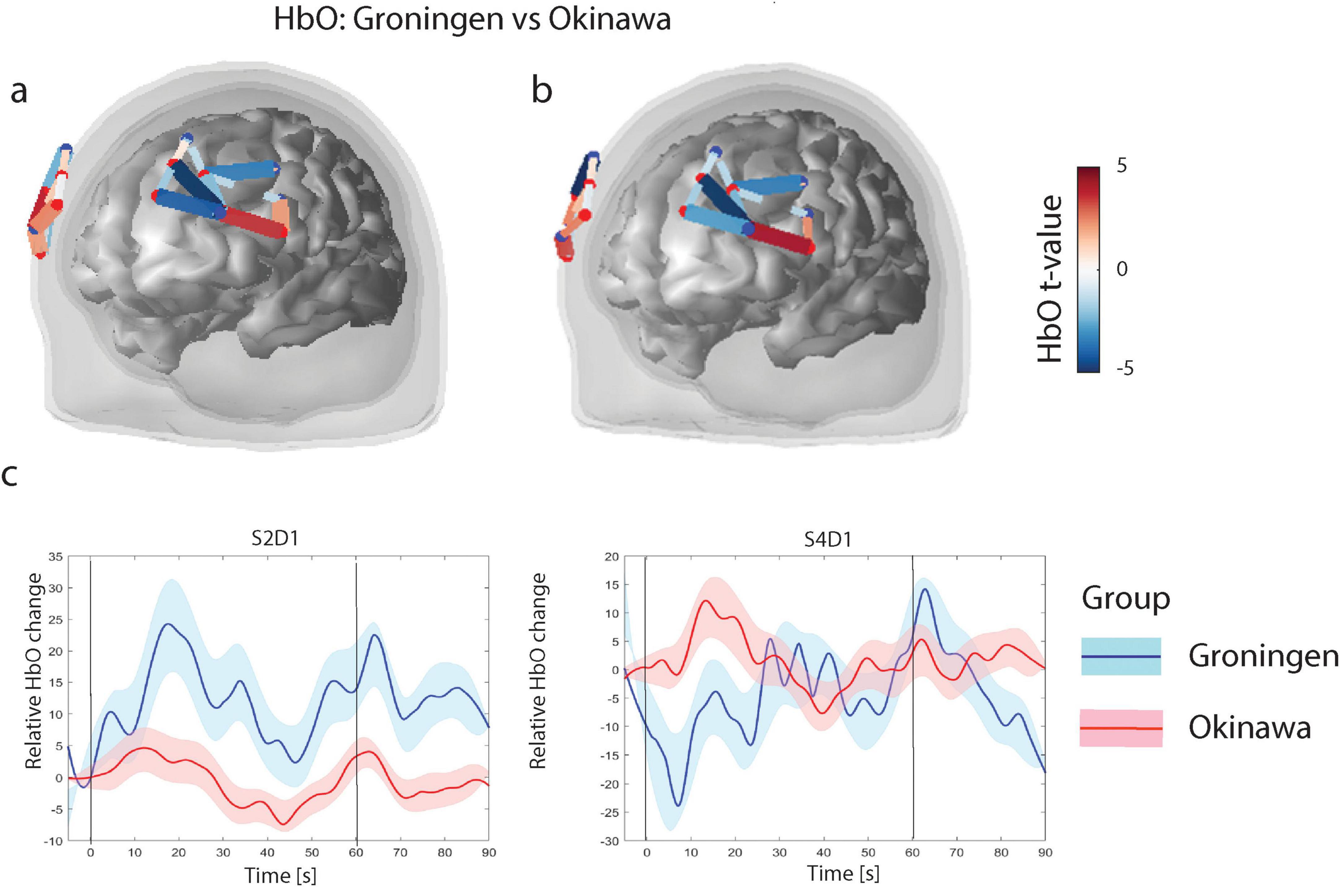 Brain activity comparison between Groningen and Okinawa groups. Panels a and b show 3D brain models with colored pathways representing HbO t-values, ranging from blue to red. Panel c includes two line graphs displaying relative HbO changes over time for both groups, with Groningen in blue and Okinawa in red.