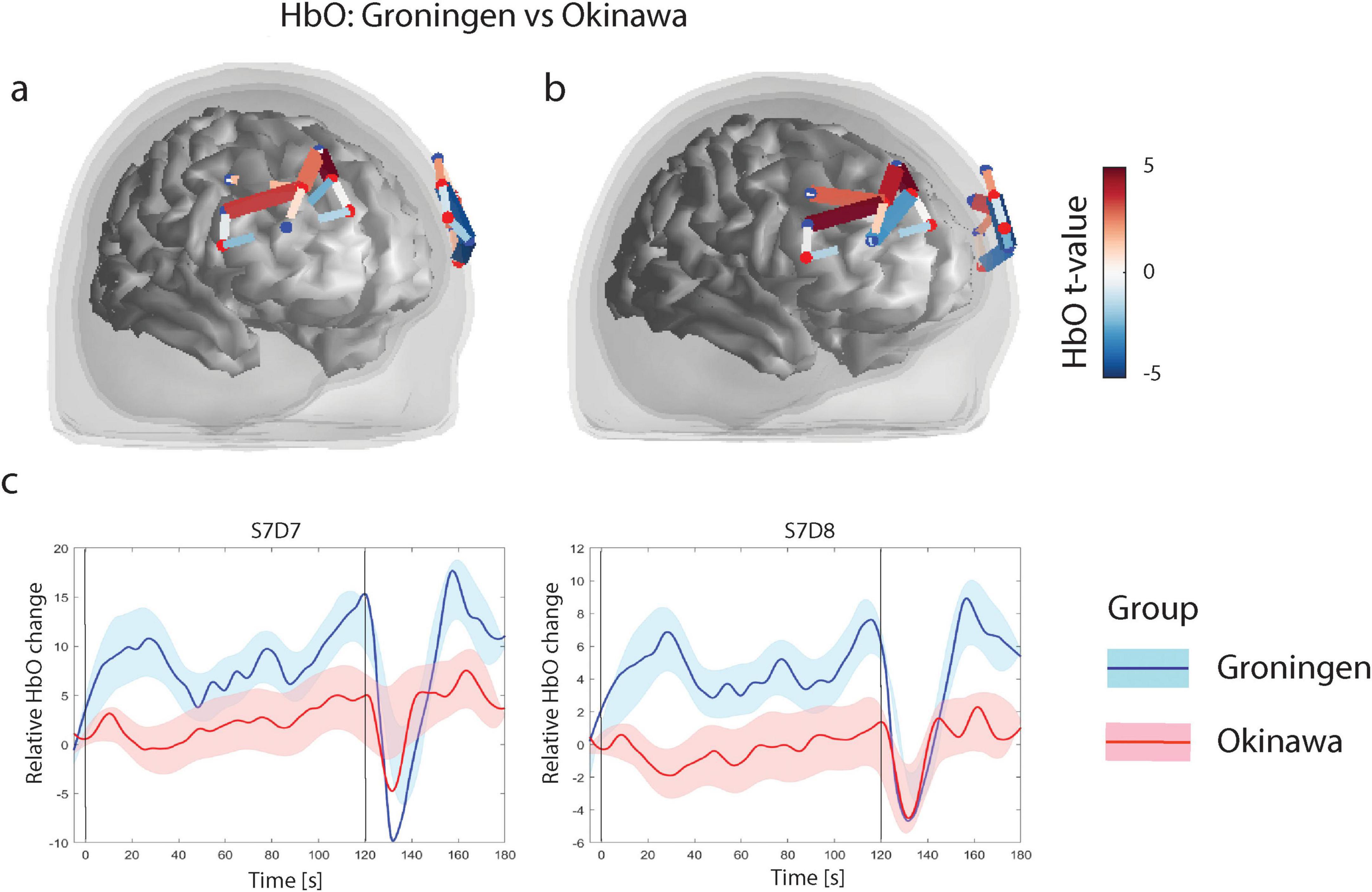 Brain imaging comparisons show HbO levels between Groningen and Okinawa groups. Panels (a) and (b) display brain maps with differing HbO t-values. Panel (c) features graphs illustrating HbO changes over time, with Groningen in blue and Okinawa in red, highlighting varied responses.