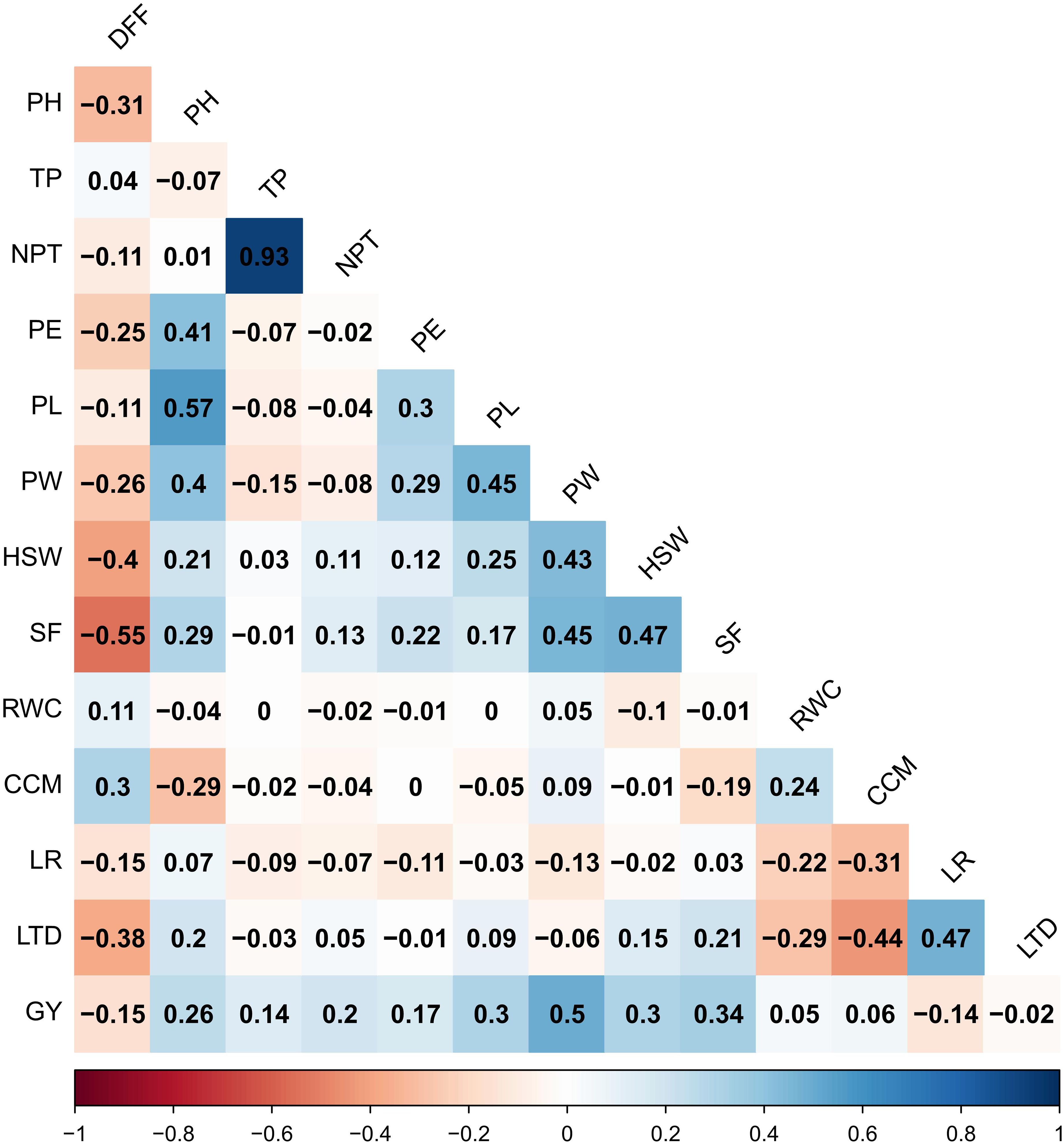 Correlation matrix heatmap displaying relationships between variables (PH, TP, NPT, PE, PL, PW, HSW, SF, RWC, CCM, LR, LTD, GY). Values range from -1 to 1, with color coding: blue for positive and red for negative correlations. Notable strong correlation is NPT and TP (0.93).