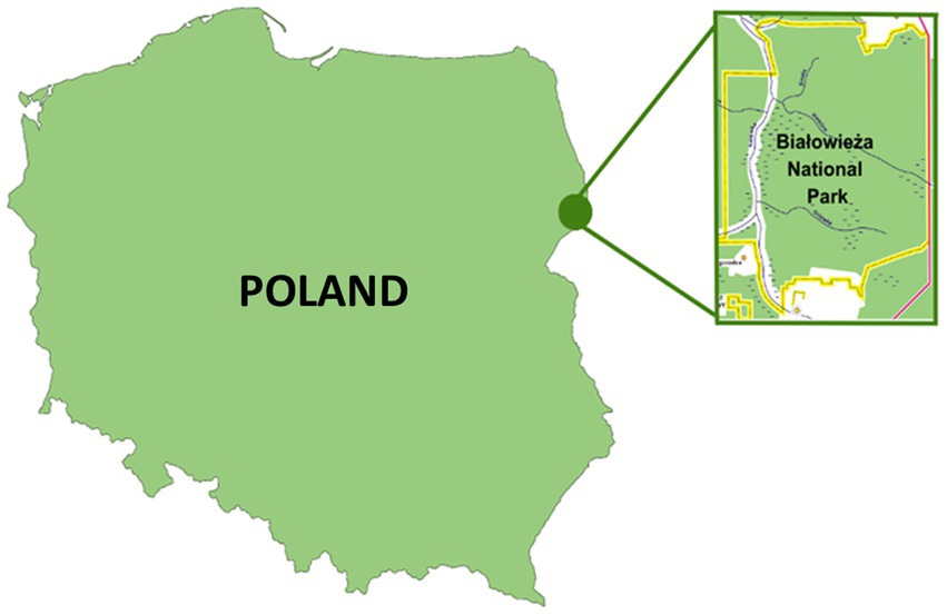 www.frontiersin.org