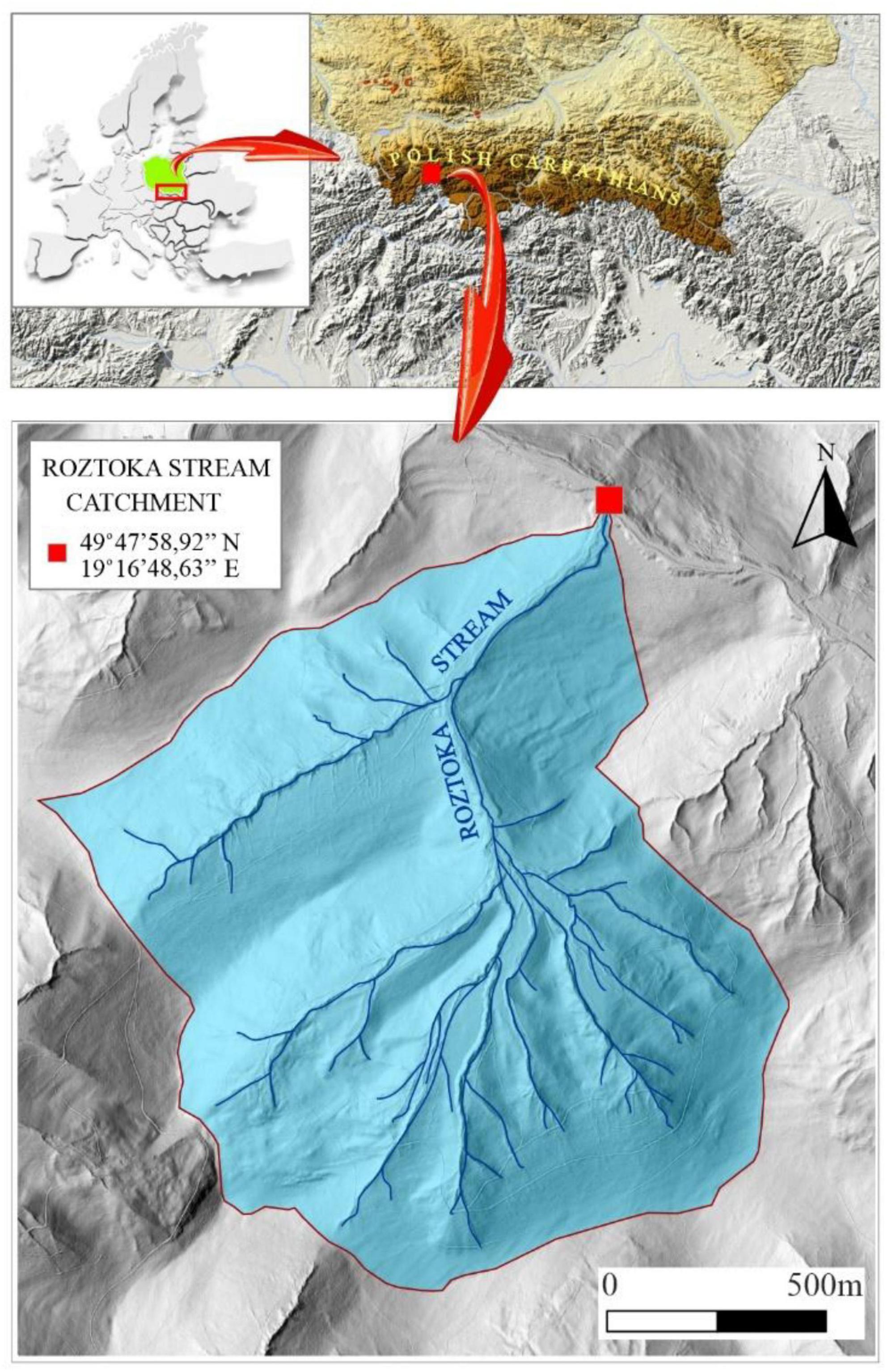 www.frontiersin.org