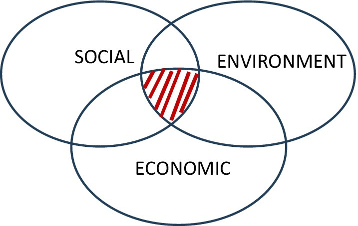 www.frontiersin.org