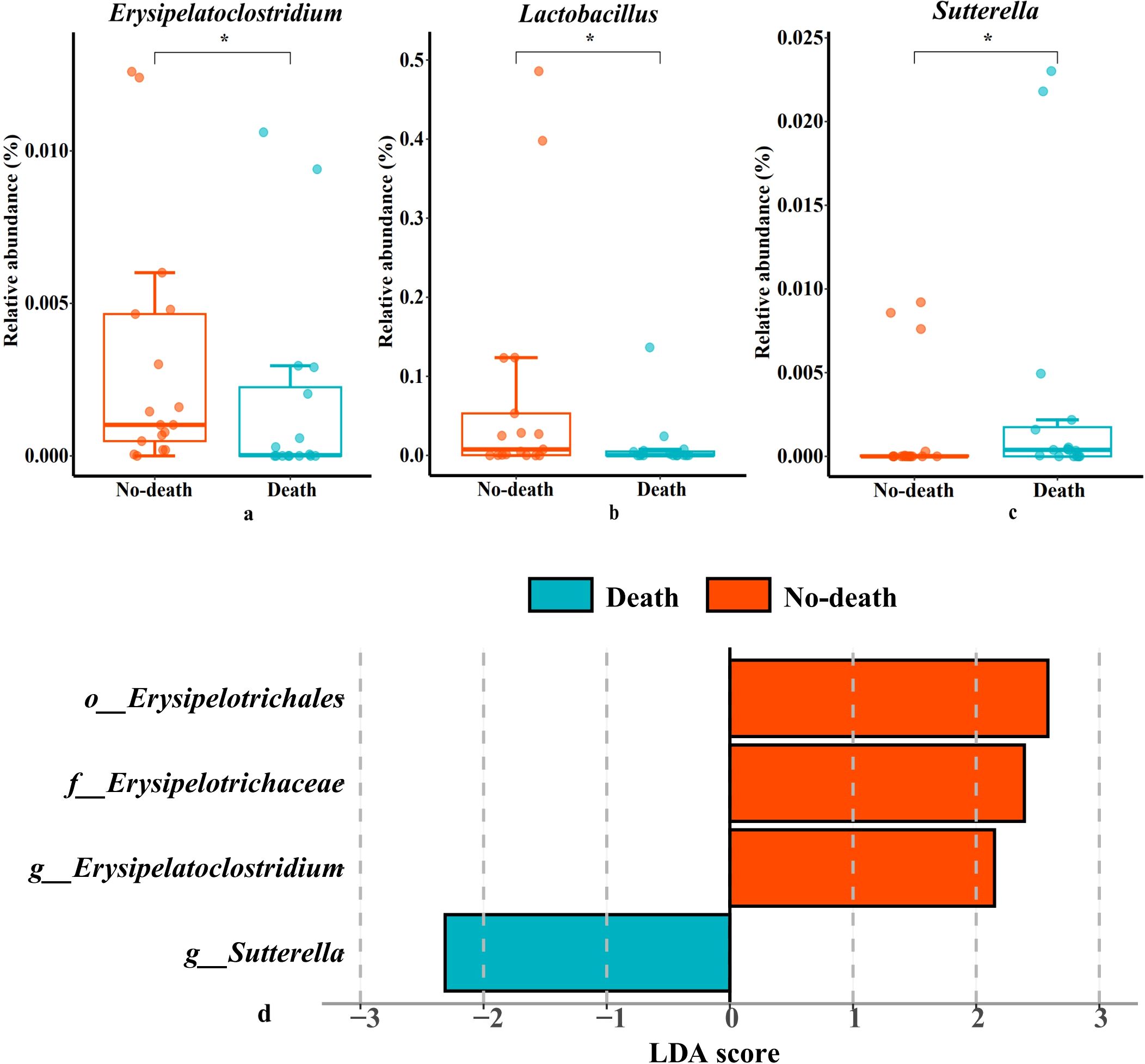Box plots and bar chart comparing gut microbiota between death and no-death groups. Top row shows relative abundance of Erysipelatoclostridium, Lactobacillus, and Sutterella, with significant differences marked by asterisks. Bottom row bar chart presents LDA scores for the same genera, highlighting differences in abundance related to death status.
