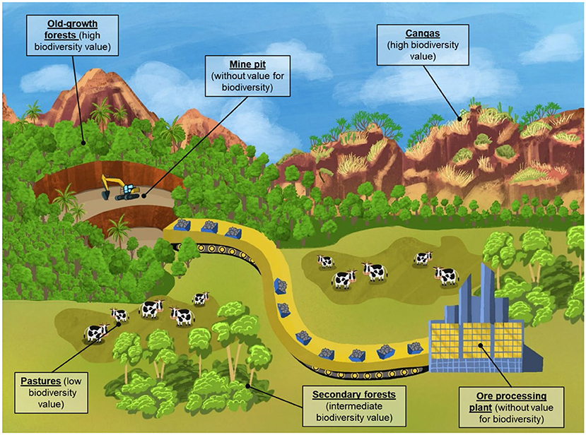 Figure 3 - Ecosystems from the neighborhood of the S11D mine.