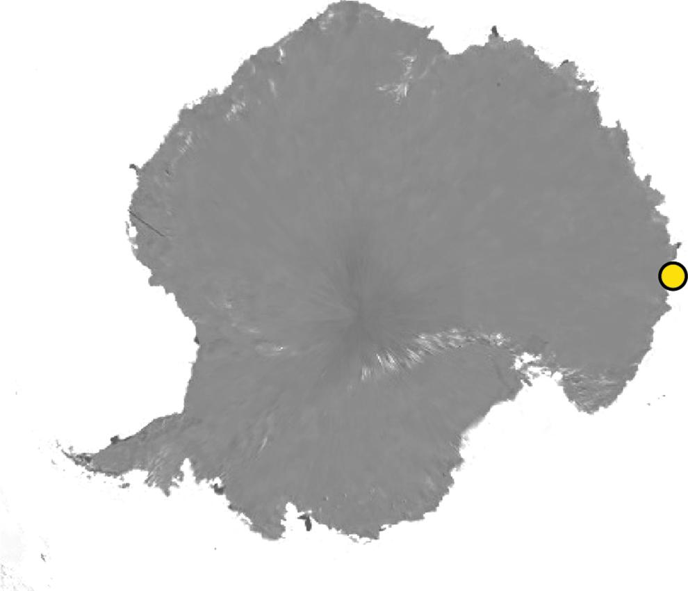 www.frontiersin.org