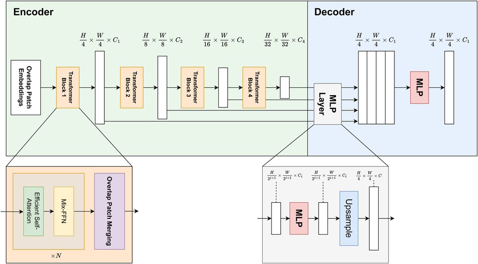 Diagram of a Transformer network architecture with an encoder-decoder structure. The encoder consists of hierarchical layers processing dimensions from \\(H/4 \\times W/4 \\times C_1\\) to \\(H/32 \\times W/32 \\times C_4\\), using overlap patch embeddings and transformer blocks. Each block includes efficient self-attention, Mix-Feed Forward networks, and overlap patch merging. The decoder reconstructs data from \\(H/32 \\times W/32 \\times C_4\\) to \\(H/4 \\times W/4 \\times C_1\\), using a Multi-Layer Perceptron layer and upsampling. The focus is on computational efficiency and data transformation.