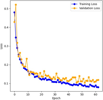 Line graph showing training and validation loss over epochs. The x-axis represents epochs from 0 to 60, and the y-axis shows loss values from 0.0 to 0.6. Training loss (blue line) and validation loss (orange line) decrease sharply initially, then stabilize, with training loss consistently lower.