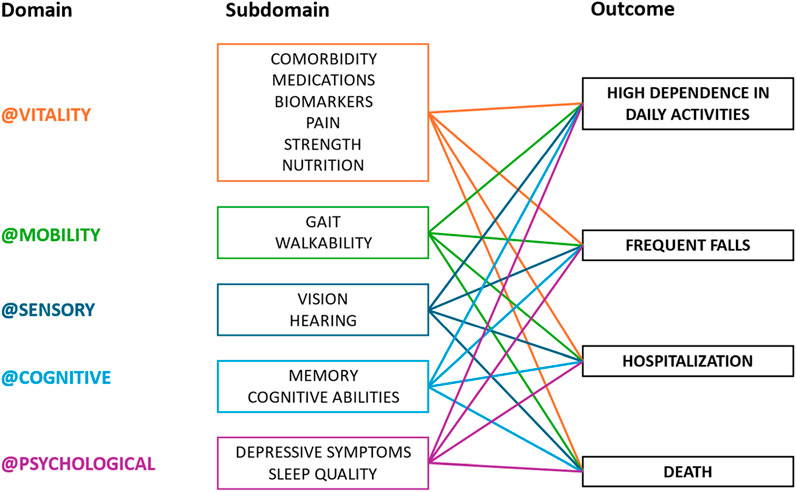 Diagram illustrating connections between domains, subdomains, and outcomes. Domains: Vitality, Mobility, Sensory, Cognitive, Psychological. Subdomains range from comorbidity to sleep quality. Outcomes include high dependence, frequent falls, hospitalization, and death. Lines link subdomains to multiple outcomes.