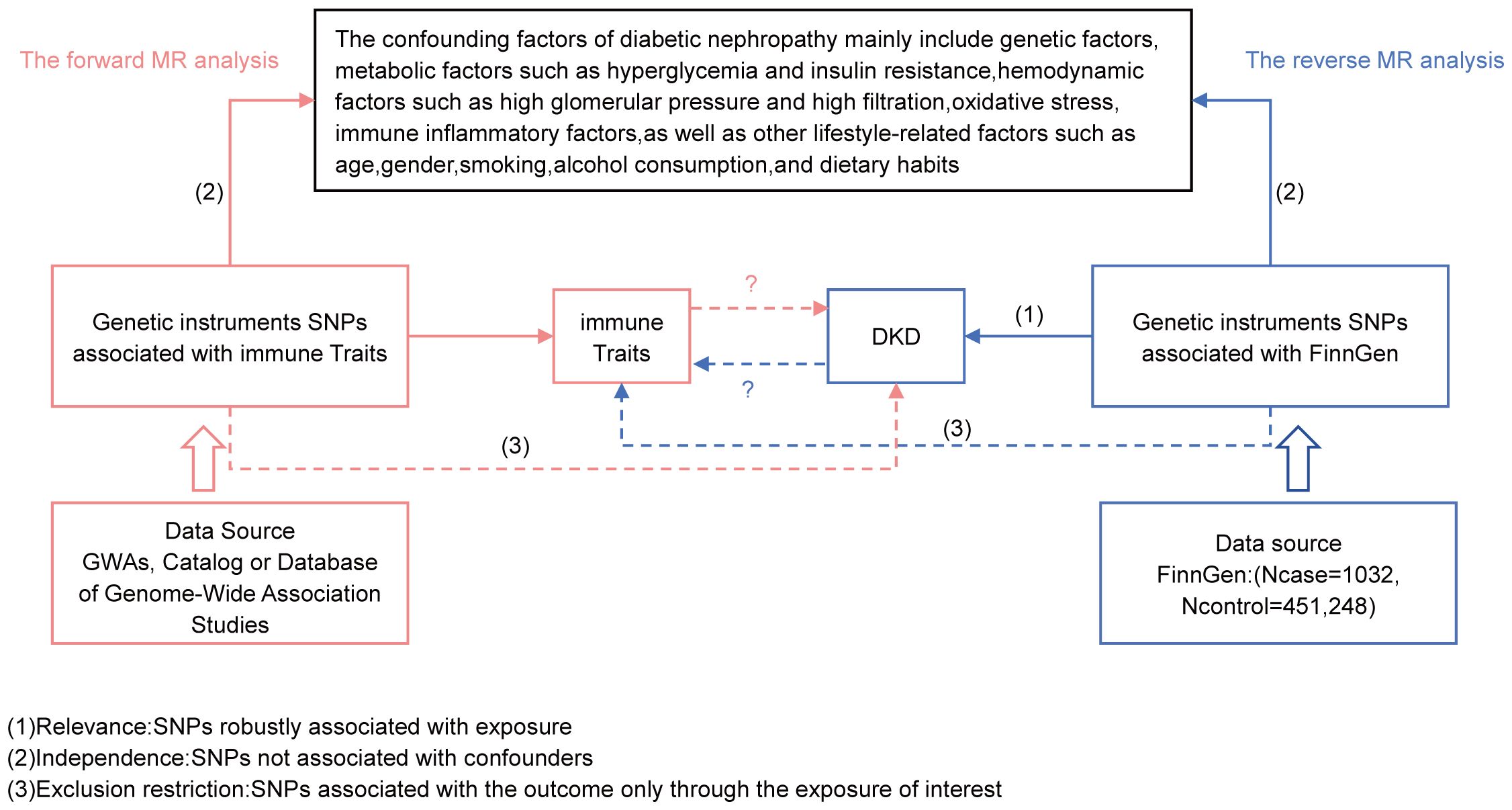 Frontiers | Mendelian randomization based on immune cells in 