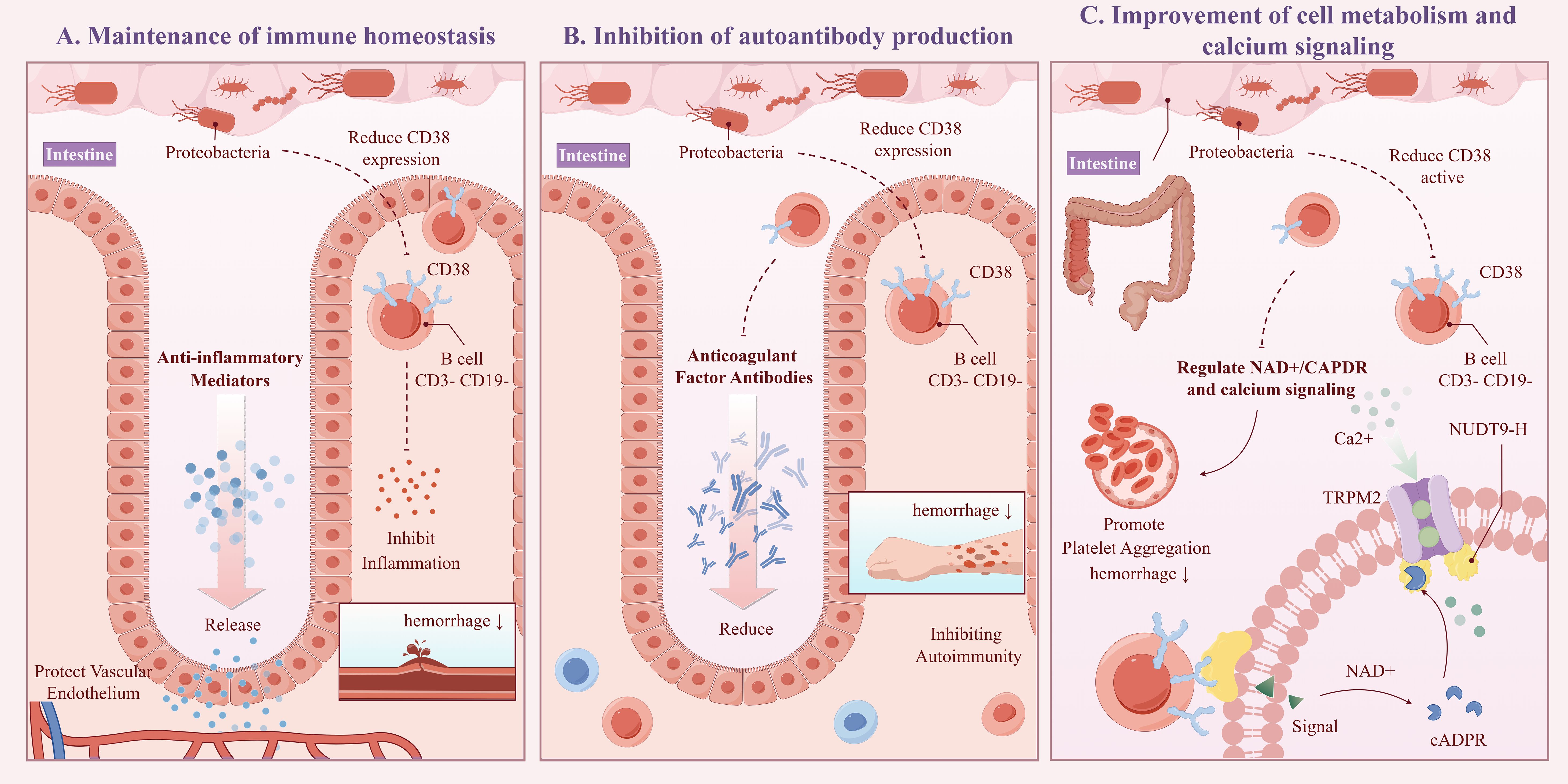 Frontiers | Microbe-immune interactions: new perspectives on