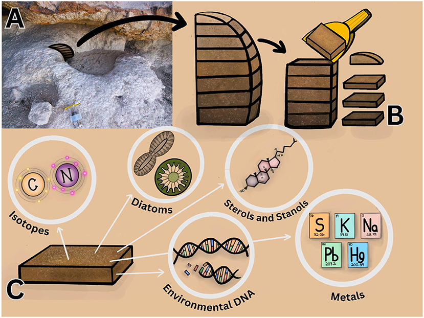 Figure 2 - Measuring environmental indicators in the nest sample.