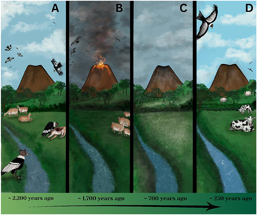 Figure 3 - A timeline of changes preserved in the condor nest.