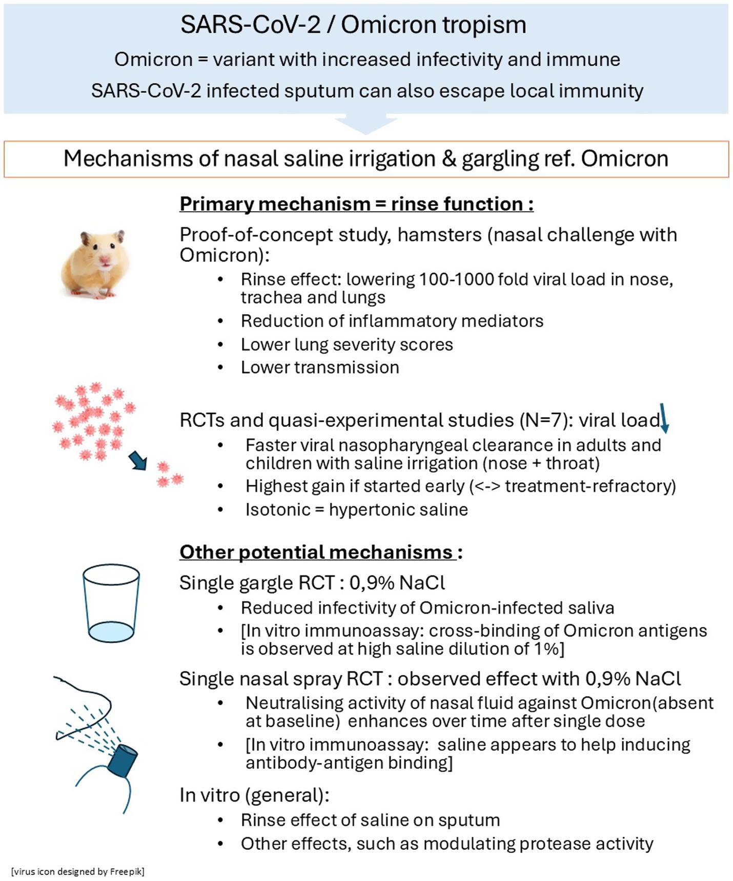 Infographic on SARS-CoV-2 Omicron variant and nasal saline irrigation. It describes increased infectivity and immune evasion by Omicron. Key sections detail primary mechanisms using hamsters, showing reduced viral load and inflammation. It also outlines RCTs indicating faster viral clearance with saline treatments. Additional mechanisms discuss gargle and nasal spray RCTs using 0.9% NaCl, highlighting reduced infectivity and enhanced neutralizing activity. Icons include a hamster, virus, gargle cup, and spray bottle.