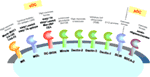 www.frontiersin.org
