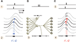www.frontiersin.org