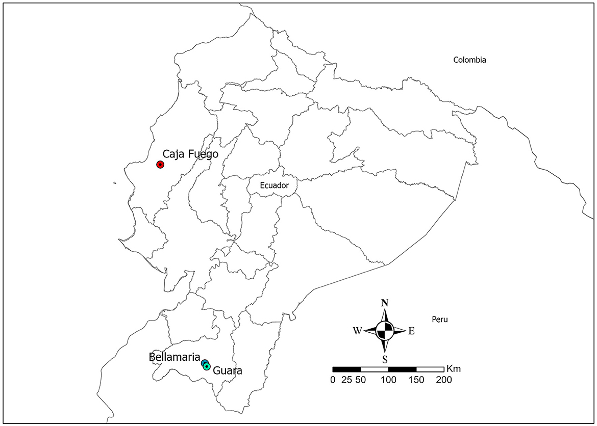 www.frontiersin.org