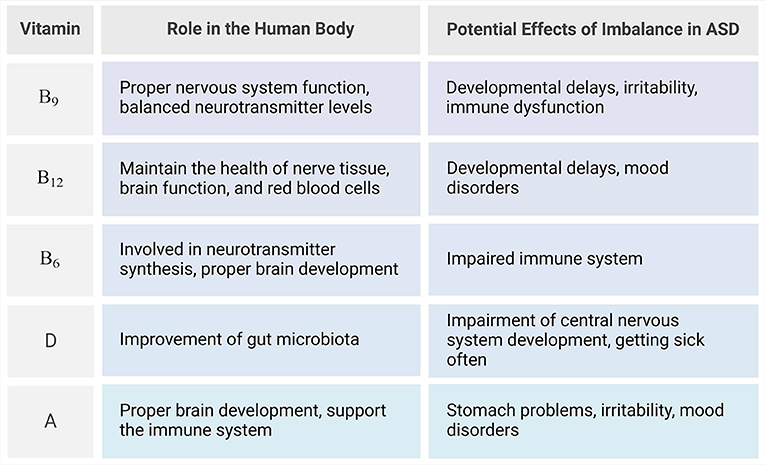 Table listing vitamins B9, B12, B6, D, and A, their roles in the human body, and potential effects of imbalance in autism spectrum disorder (ASD). Roles include nervous system function and brain development. Imbalances may lead to developmental delays, immune issues, and mood disorders.