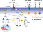 www.frontiersin.org